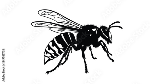 Black silhouette of a wasp in flight isolated on white background