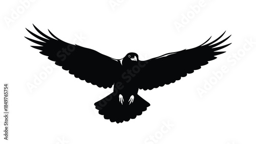 Black silhouette of an eagle in flight with wings spread wide isolated on white background