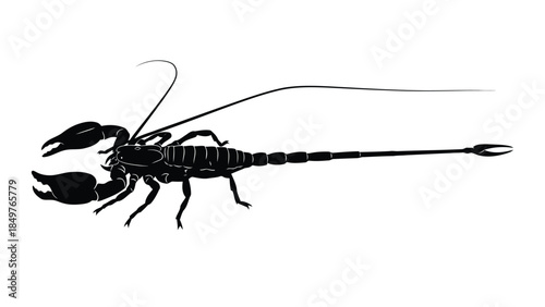 Black silhouette of a scorpion with long tail and claws isolated on white background