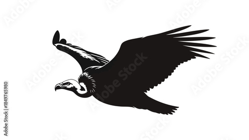 Black silhouette of an eagle in flight against a isolated on white background