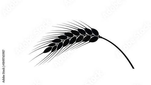 Minimalist black silhouette of a wheat ear isolated on white background