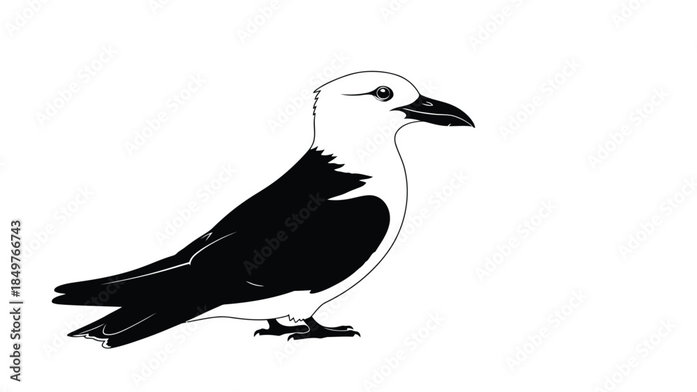 Fototapeta premium Black silhouette of a bird with white head standing alone isolated on white background