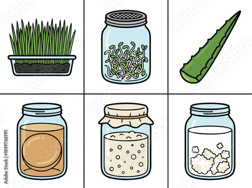 Various Fermented Foods and Plant-Based Ingredients.