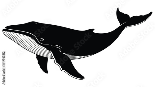 Black silhouette of a whale swimming isolated on white background