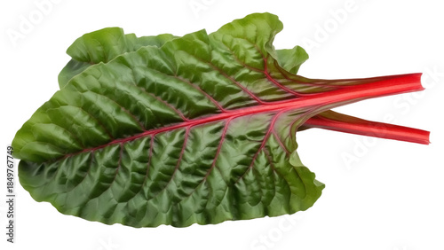 Isolated Swiss chard leaves with red stalks offer fresh organic produce nutrition boost