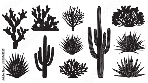 Collection of Various Cacti and Succulents in Silhouette Style