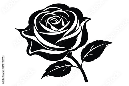 rose silhouette line art vector illustration