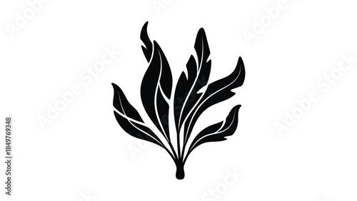 Minimalist black silhouette of a plant with leaves isolated on white background