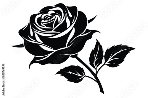 rose silhouette line art vector illustration