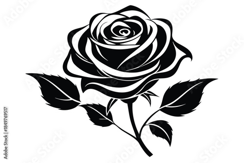 rose silhouette line art vector illustration