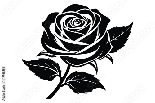 rose silhouette line art vector illustration