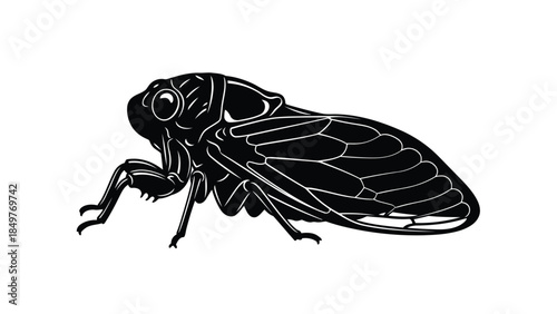 Black silhouette of a cicada insect isolated on white background