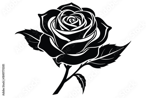 rose silhouette line art vector illustration