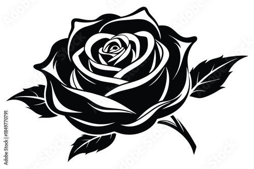rose silhouette line art vector illustration