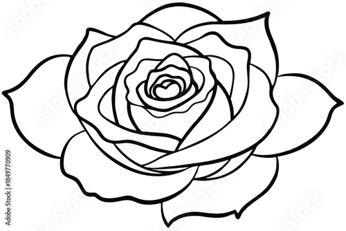 rose silhouette line art vector illustration