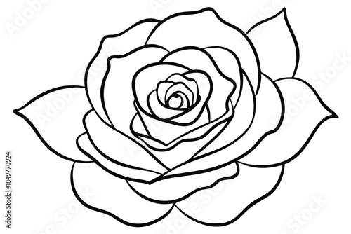 rose silhouette line art vector illustration
