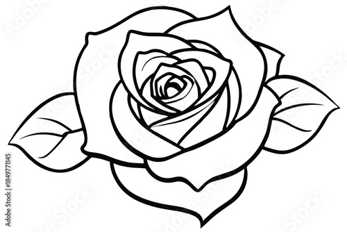 rose silhouette line art vector illustration