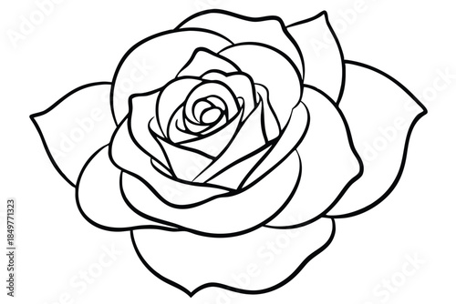rose silhouette line art vector illustration