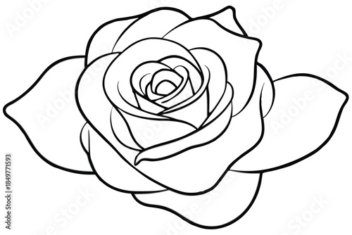 rose silhouette line art vector illustration
