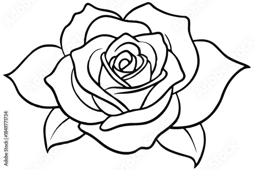 rose silhouette line art vector illustration