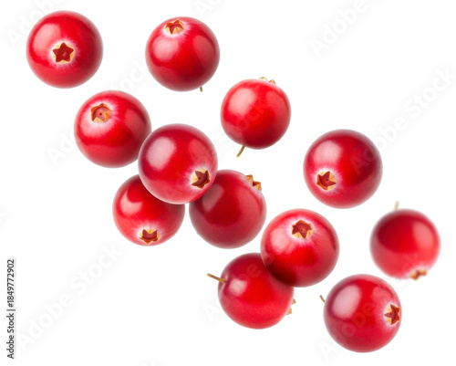 Falling Fresh Cranberries Isolated on Transparent Background