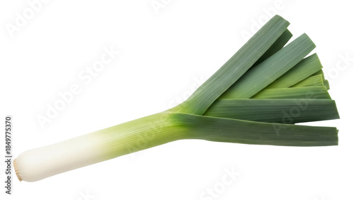 Photos Isolated whole fresh leek ready to cook or be chopped, a natural food with many