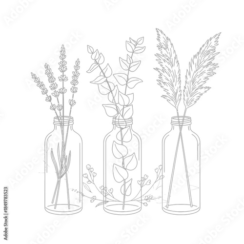 Elegant line art of three minimalist glass jars filled with botanical arrangements for home decor