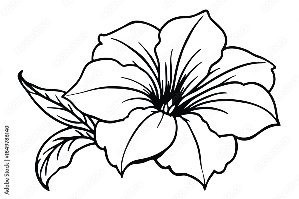 Fototapeta premium petunia silhouette line art vector illustration