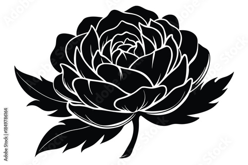 peony silhouette line art vector illustration