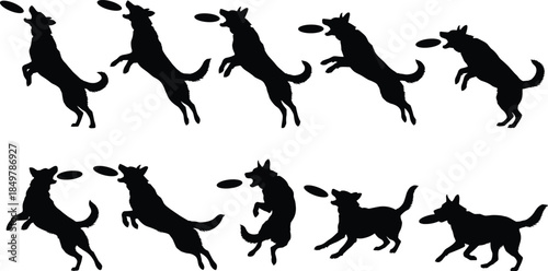 Dogs catching flying frisbee toy silhouette vector set, active German Shepherds leaping and jumping to play fetch, outdoor pet activity graphic.