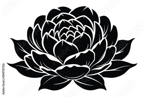 peony silhouette line art vector illustration