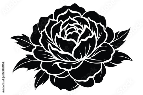 peony silhouette line art vector illustration