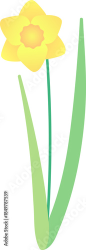 Yellow daffodil flower representing spring growth and renewal