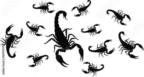 Scorpion silhouette pattern, black insect design, arachnid anatomy, wildlife motif, bold contrast, CAD drawing, flat vector, illustration, graphic style