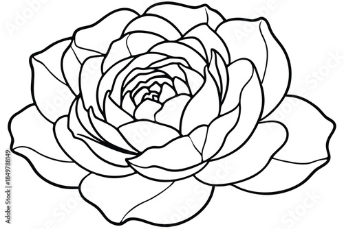 peony silhouette line art vector illustration