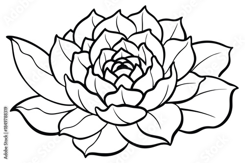peony silhouette line art vector illustration