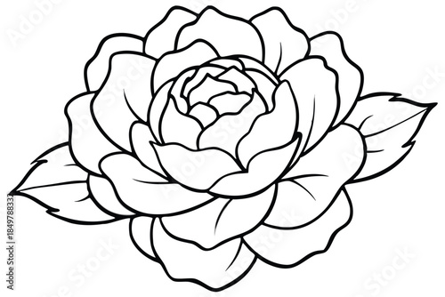 peony silhouette line art vector illustration