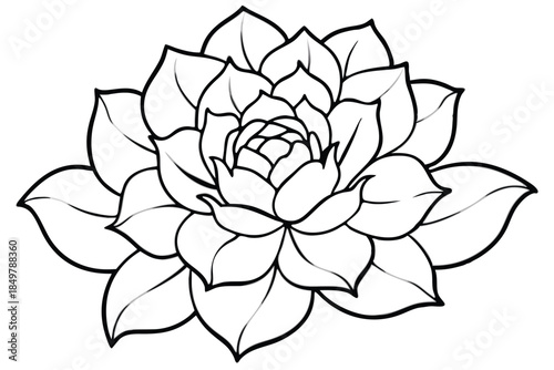 peony silhouette line art vector illustration