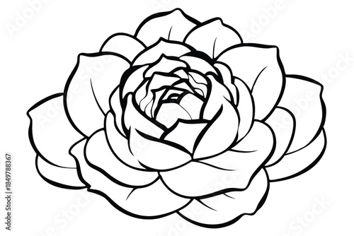 peony silhouette line art vector illustration