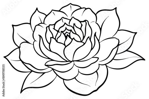 peony silhouette line art vector illustration