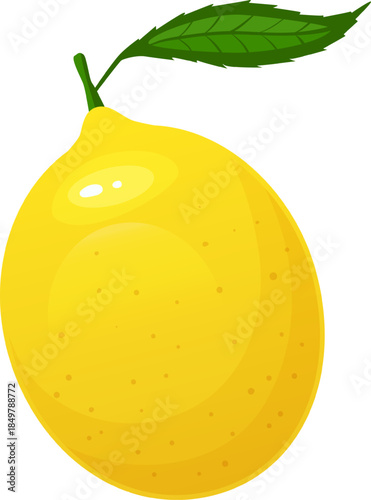 Fresh yellow lemon with green leaf illustration