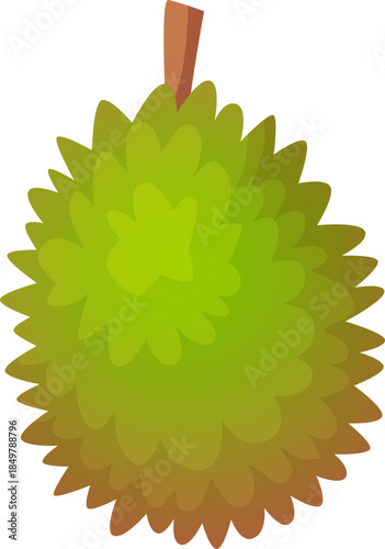 Durian fruit tropical exotic food flat illustration