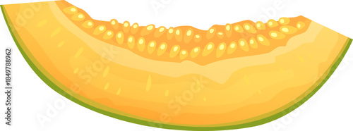 Fresh melon slice showing orange flesh and seeds