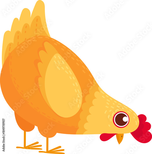 Yellow chicken pecking ground looking for food