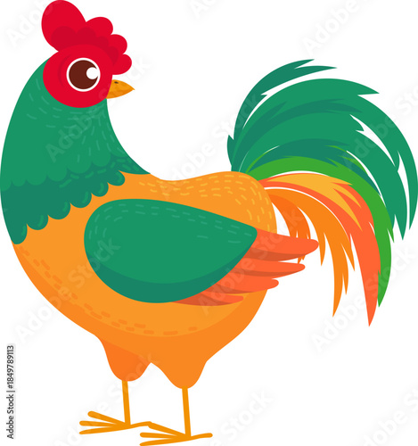 Colorful rooster standing looking sideways cartoon illustration