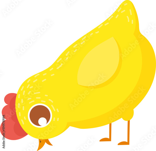 Yellow chicken pecking ground looking for food