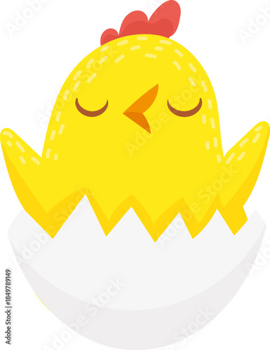 Yellow baby chick hatching from a broken eggshell