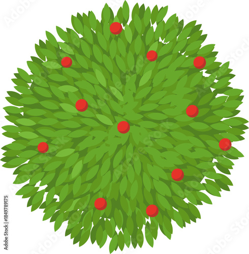 Green tree or bush with red berries an overhead view