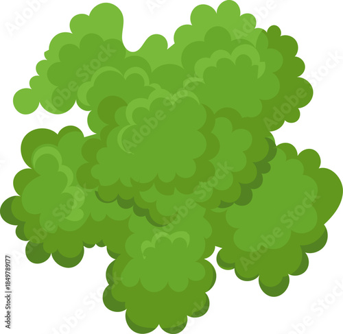 Green foliage forming abstract tree canopy overhead view