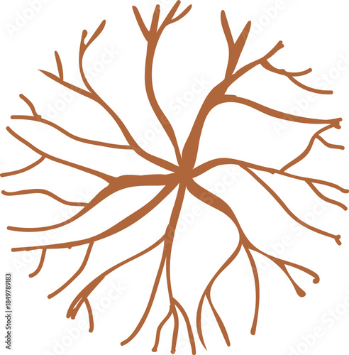 Brown tree roots or brain neuron connections
